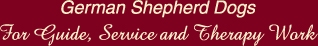 Guideheader.jpg - 12064 Bytes